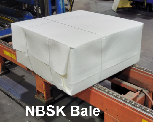 Northern Bleached Softwood Kraft Pulp (NBSK)